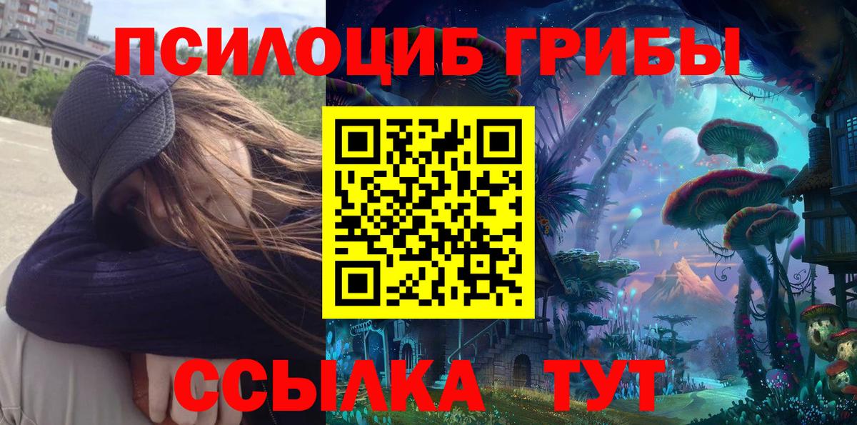 Брянск  Псилоцибиновые грибы Magic Shrooms  Вход с VPN 