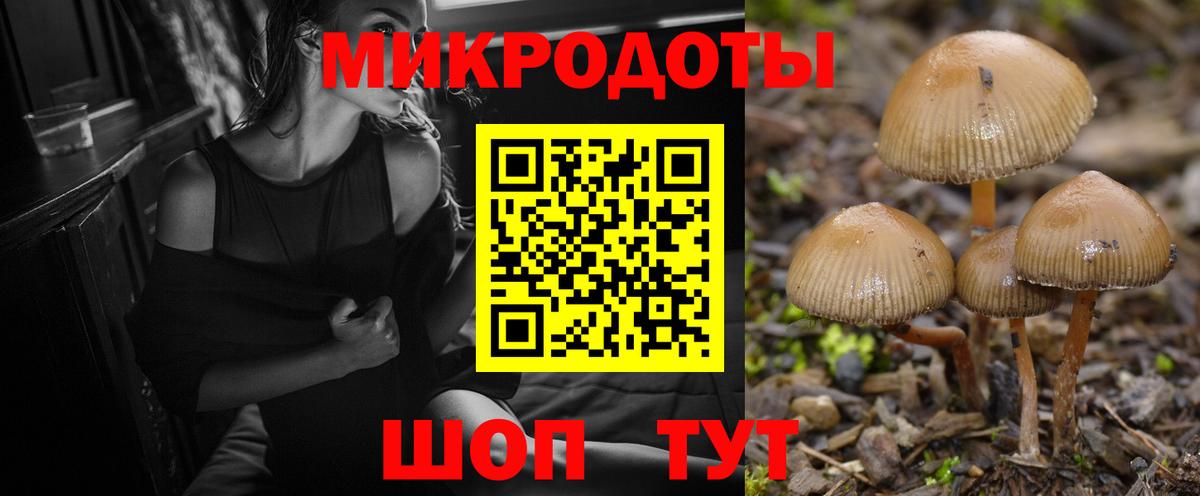Псилоцибиновые грибы ЛСД Брянск